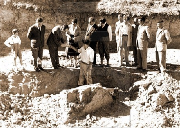 Ballena encontrada en Montilla