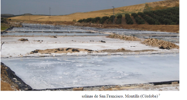 Salinas de San Francisco