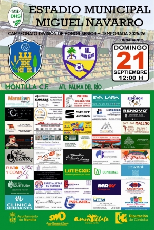 Campeonato Divisi&oacute;n de Honor Senior